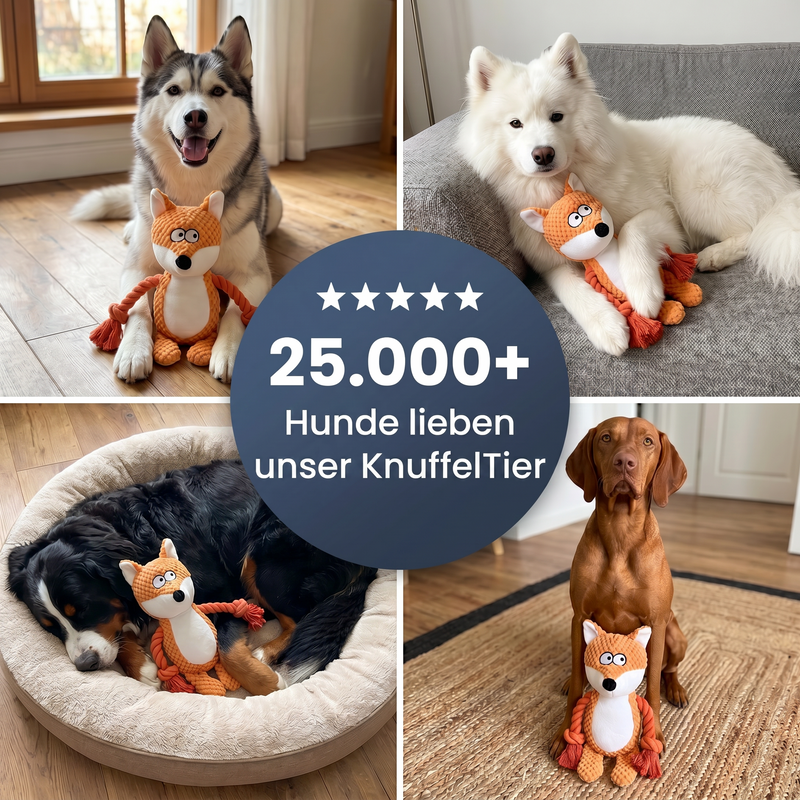 Pfotenkontor - KnuffelTier